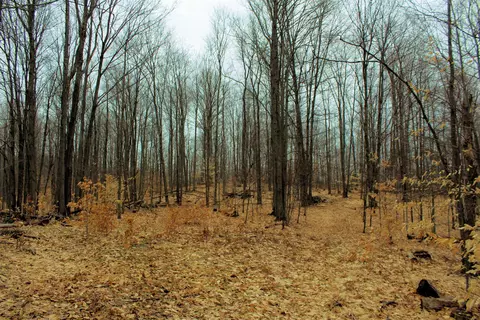 0 W 20, Mesick, MI 49668 photo 18