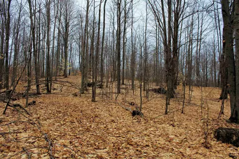 0 W 20, Mesick, MI 49668 photo 19