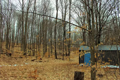 0 W 20, Mesick, MI 49668 photo 8