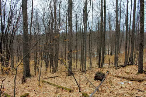 0 W 20, Mesick, MI 49668 photo 21