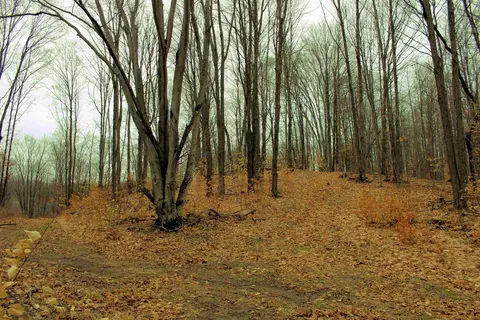 0 W 20, Mesick, MI 49668 photo 13