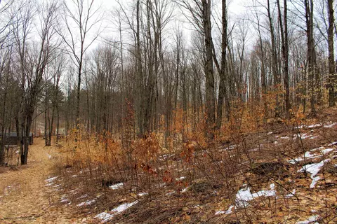 0 W 20, Mesick, MI 49668 photo 12