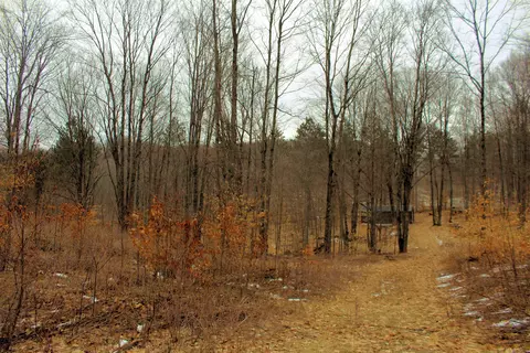 0 W 20, Mesick, MI 49668 photo 11