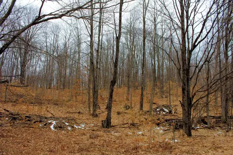 0 W 20, Mesick, MI 49668 photo 17