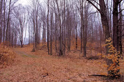 0 W 20, Mesick, MI 49668 photo 15