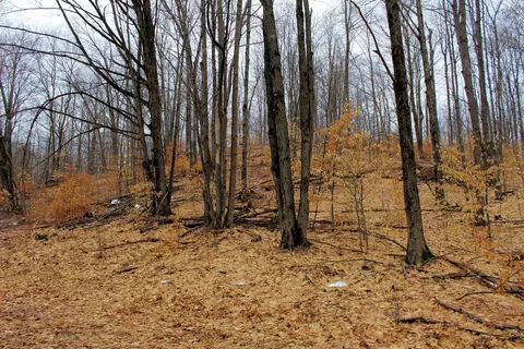 0 W 20, Mesick, MI 49668 photo 6