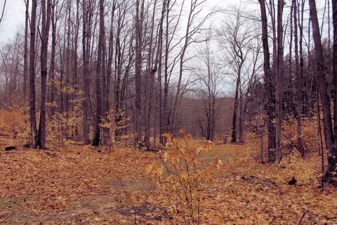 0 W 20, Mesick, MI 49668 photo 14