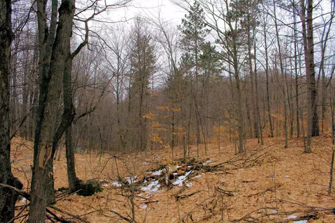 0 W 20, Mesick, MI 49668 photo 9