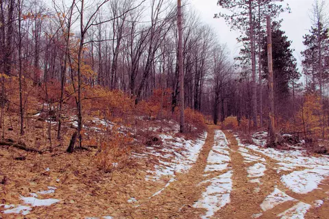 0 W 20, Mesick, MI 49668 photo 3