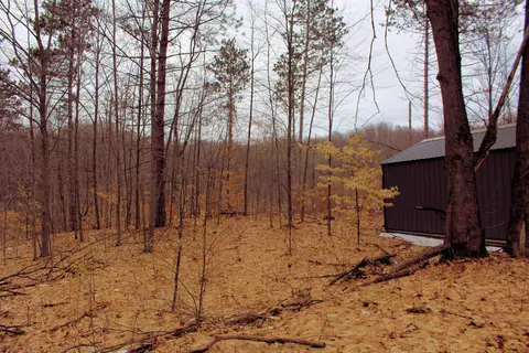 0 W 20, Mesick, MI 49668 photo 10