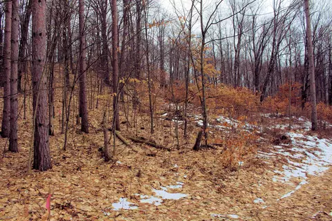 0 W 20, Mesick, MI 49668 photo 2