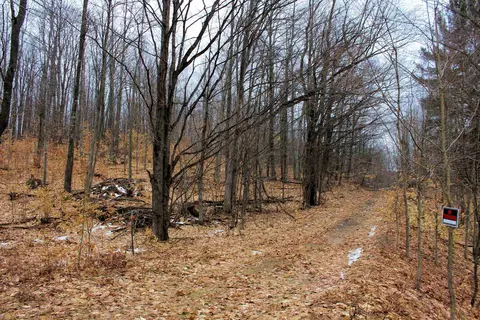 0 W 20, Mesick, MI 49668 photo 16