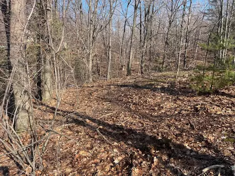 000 S Sugar Loaf Mtn #LOT : 36, Cedar, MI 49621