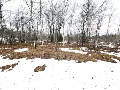 LOT 489 Manistee Heights No 1 #489, Mancelona, MI 49659