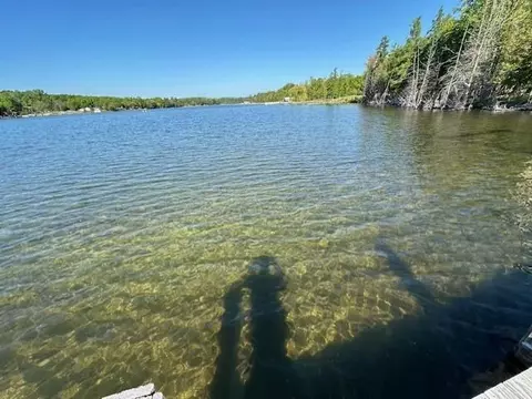 000 Clam Lk, Bellaire, MI 49615