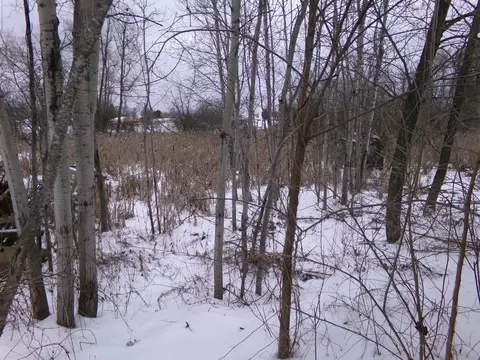 Other - 290 S Webber, Farwell, MI 48622 photo 8 of 9