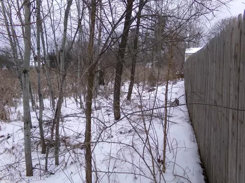Other - 290 S Webber, Farwell, MI 48622 photo 9 of 9