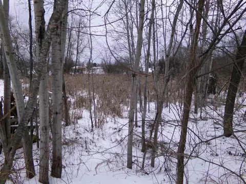 View/Area - 290 S Webber, Farwell, MI 48622 photo 1 of 1