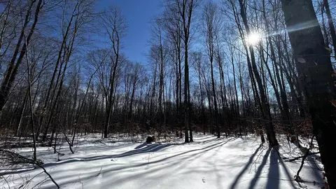 8845 B6 Reynolds #LOT : B - 6, Traverse City, MI 49684