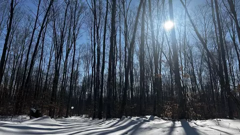 8845 B-5 Reynolds #LOT : B - 5, Traverse City, MI 49684