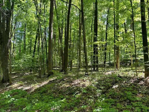 lot51 Val Disere #LOT : 51, Bellaire, MI 49615