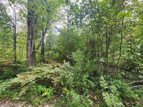 3178 N Dundale, Spruce, MI 48742