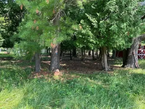 00 River, Tawas City, MI 48763