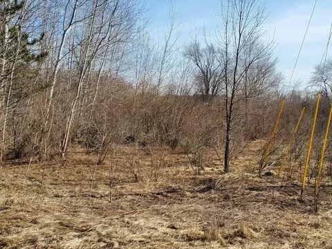 Tbd E Baseline, Mount Pleasant, MI 48858 photo 3