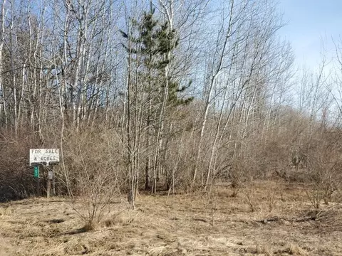 Tbd E Baseline, Mount Pleasant, MI 48858 photo 8