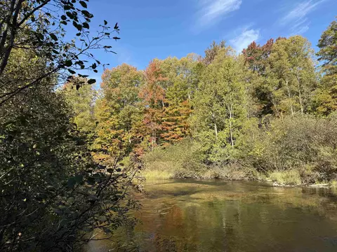 G Tomasek #PARCEL G, Thompsonville, MI 49683