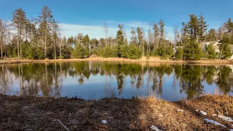 8 Frog Pond, Glen Arbor, MI 49636