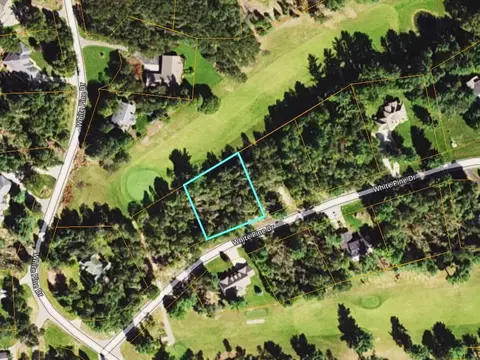 lot29 White Pne, Cadillac, MI 49601