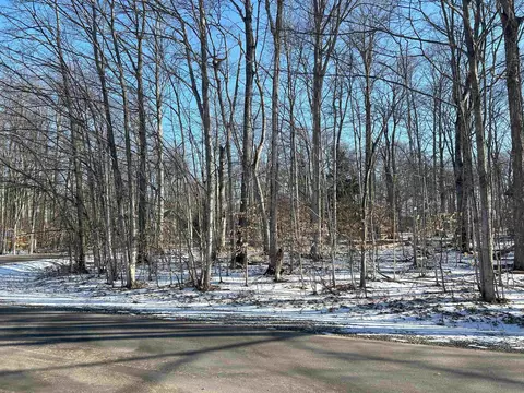 Lot 74 Sugar Maple, Cedar, MI 49621 photo 6