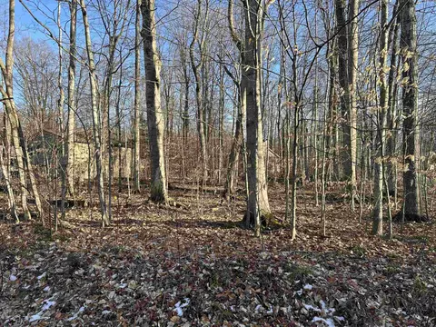 Lot 74 Sugar Maple, Cedar, MI 49621 photo 4