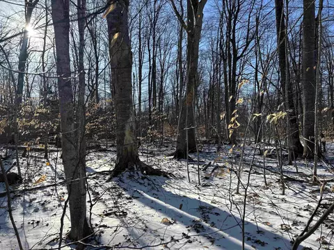 Lot 74 Sugar Maple, Cedar, MI 49621 photo 8