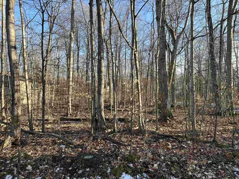 Lot 74 Sugar Maple, Cedar, MI 49621 photo 2