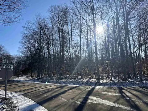 Lot 74 Sugar Maple, Cedar, MI 49621