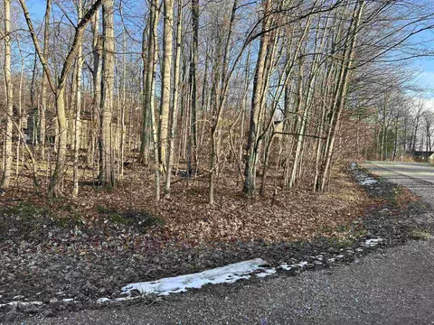 Lot 74 Sugar Maple, Cedar, MI 49621 photo 5