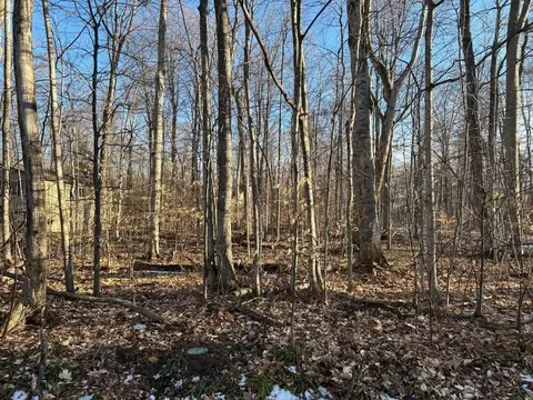 Lot 74 Sugar Maple, Cedar, MI 49621 photo 3