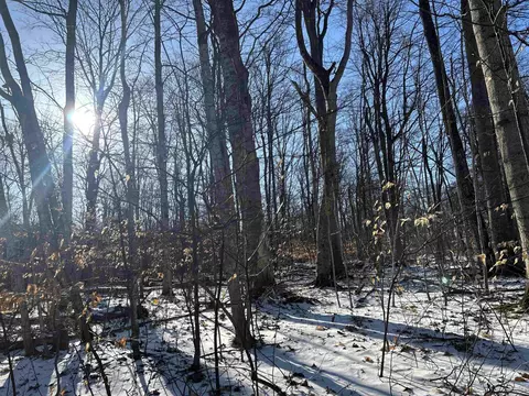 Lot 74 Sugar Maple, Cedar, MI 49621 photo 7