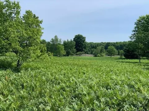 00 Vista Vly, Mesick, MI 49668