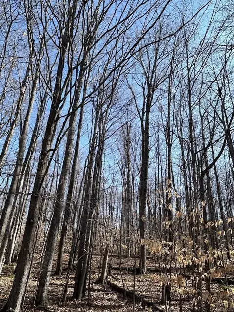 Lot 14 Klein Strasse, Bellaire, MI 49615