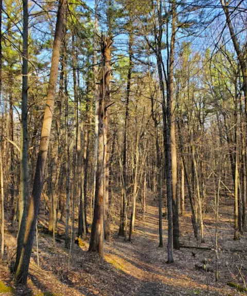 00 E Clear Lk, West Branch, MI 48661