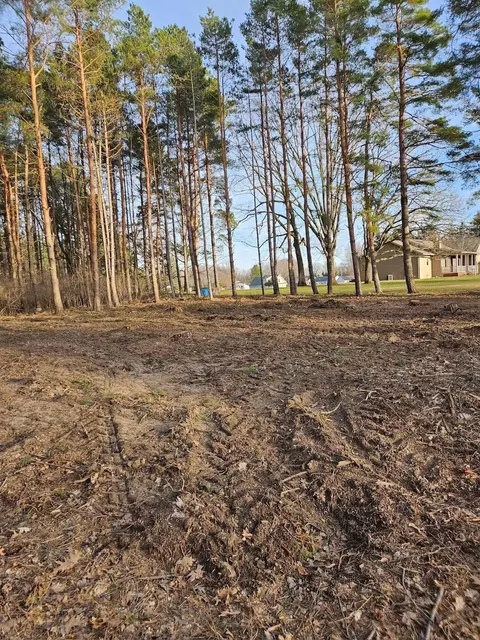 1015 Bundy, Lake Isabella, MI 48893