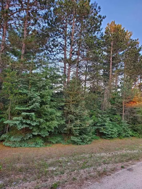 000 Howard, Mesick, MI 49668 photo 5