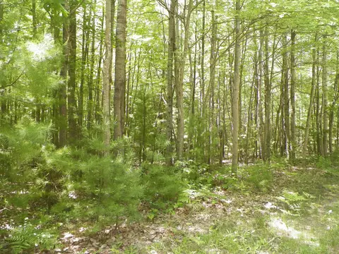 lot48 Bramblewood, Cadillac, MI 49601