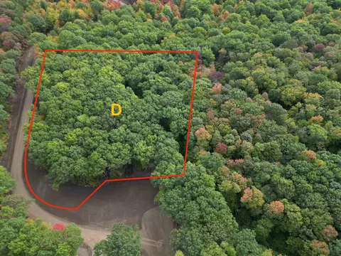 Parcel D Trumbull, Maple City, MI 49664