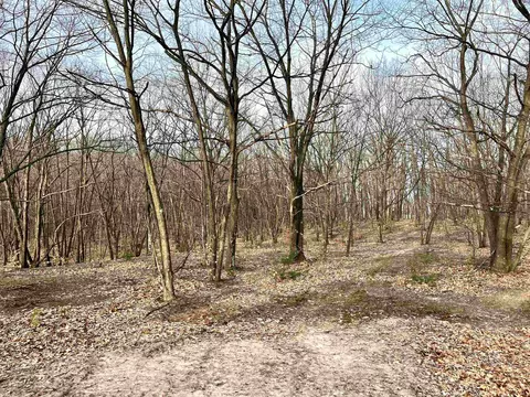 Parcel E Trumbull, Maple City, MI 49664 photo 7
