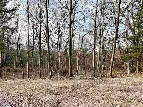 Parcel E Trumbull, Maple City, MI 49664 photo 15