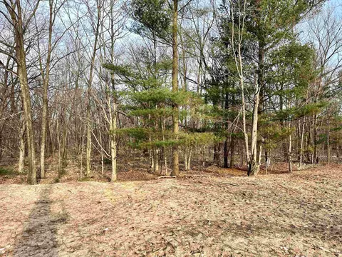 Parcel E Trumbull, Maple City, MI 49664 photo 12
